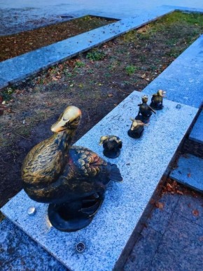 ��� ��������� ������� ������ �� ����������� �������� �����