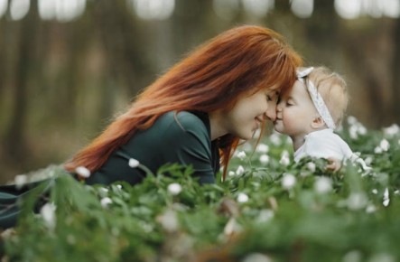 ����������� �����: ������ ����� ������ � ������� �������� ������