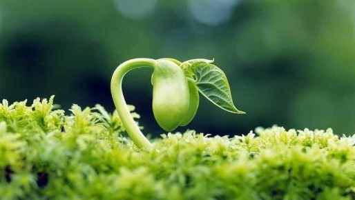 ���������� �����������: ��� ������� ���������� ������� �