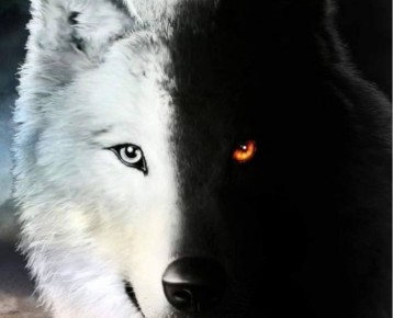 �������� �����: ��� ����������� � ����������� � ����������