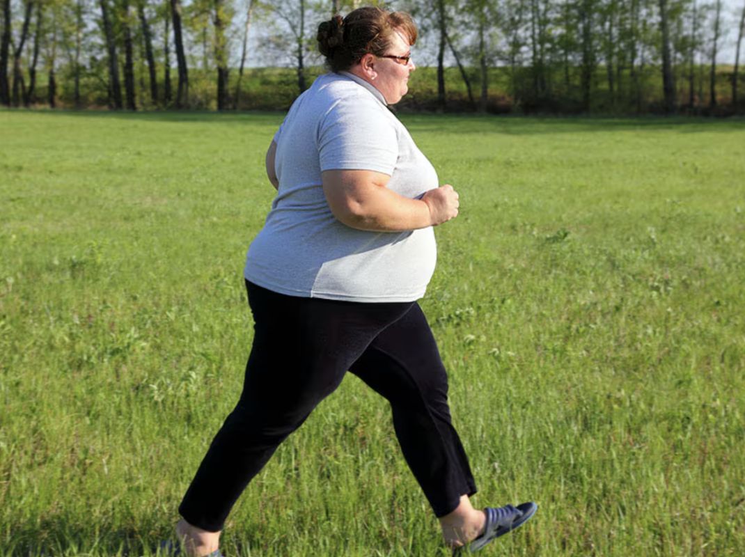 ����� �������, �������� �������� ������������ ������