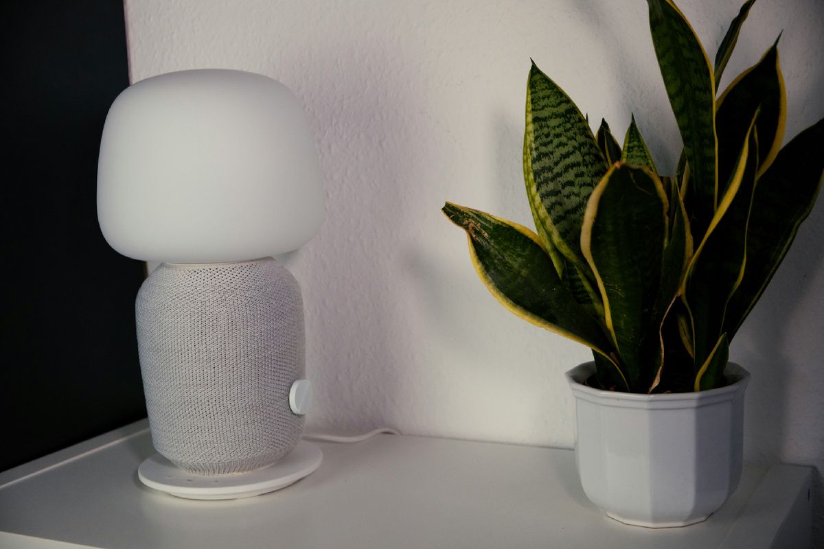 ��� �������� ����� �������� ���� �����