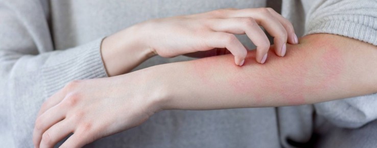 ���� � �������: �������� �����, ������� ������ ������������