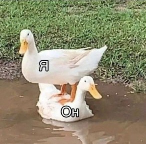 ��� �������� ��������� �������������: ���� � ��������