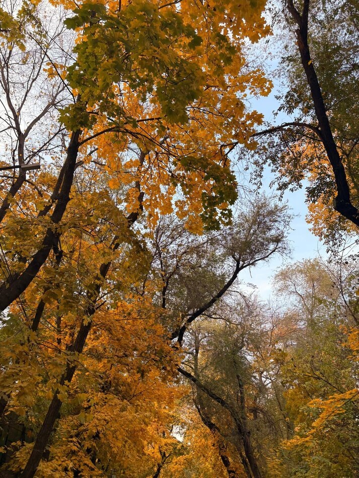 Как справиться с осенней хандрой: советы для поднятия настроения