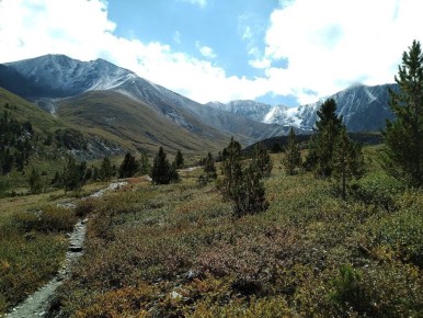 ���� �������������� ���������