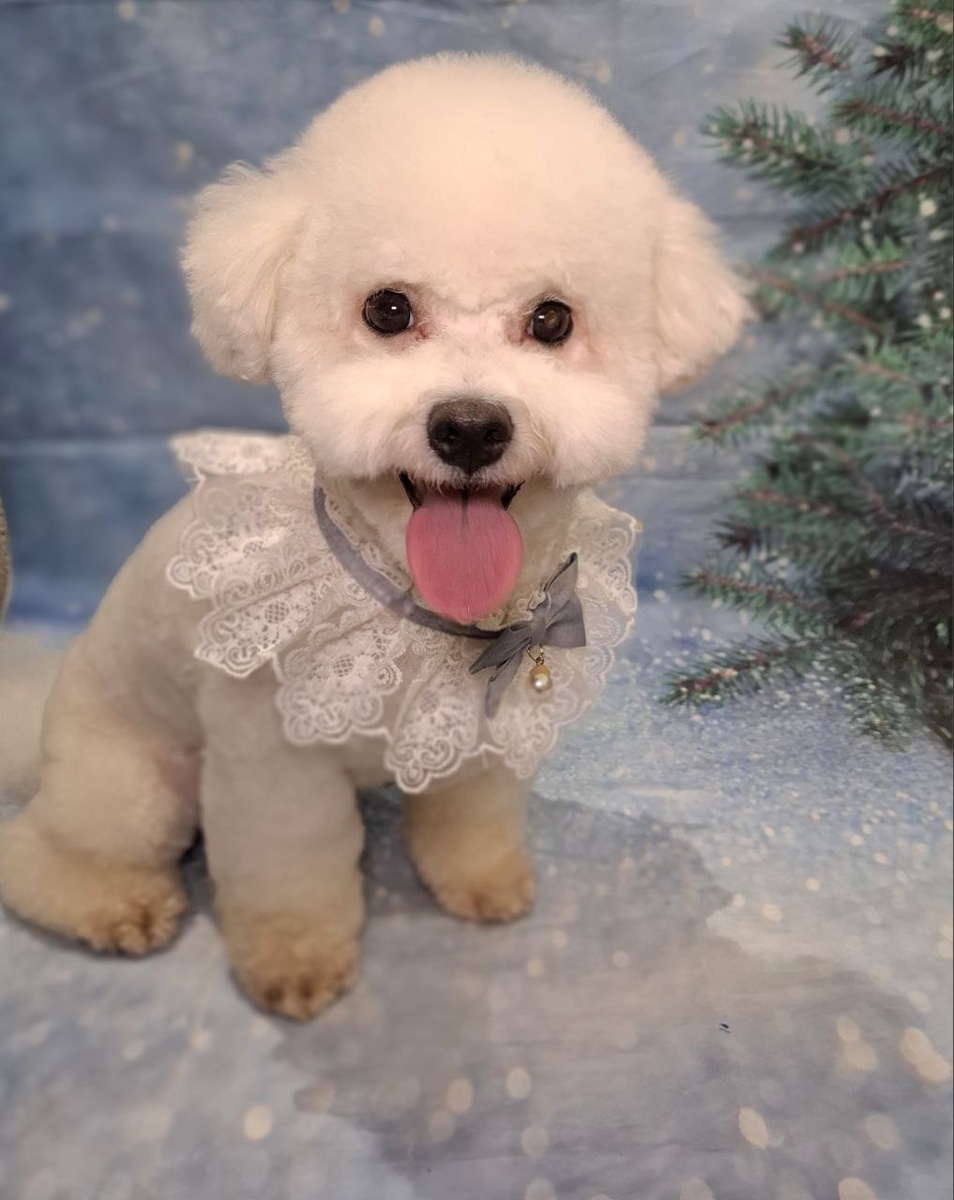 Присоединяйтесь к новой игре и раскрасьте свой день радостью!