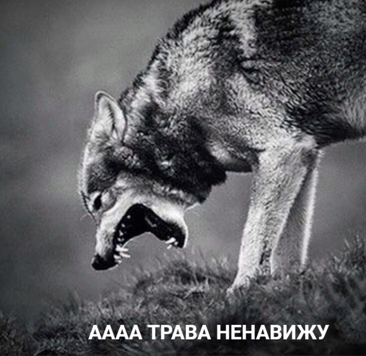 Понимание подавленной агрессии: ключ к внутреннему миру