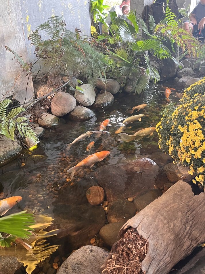 Когда страх изменений становится преградой