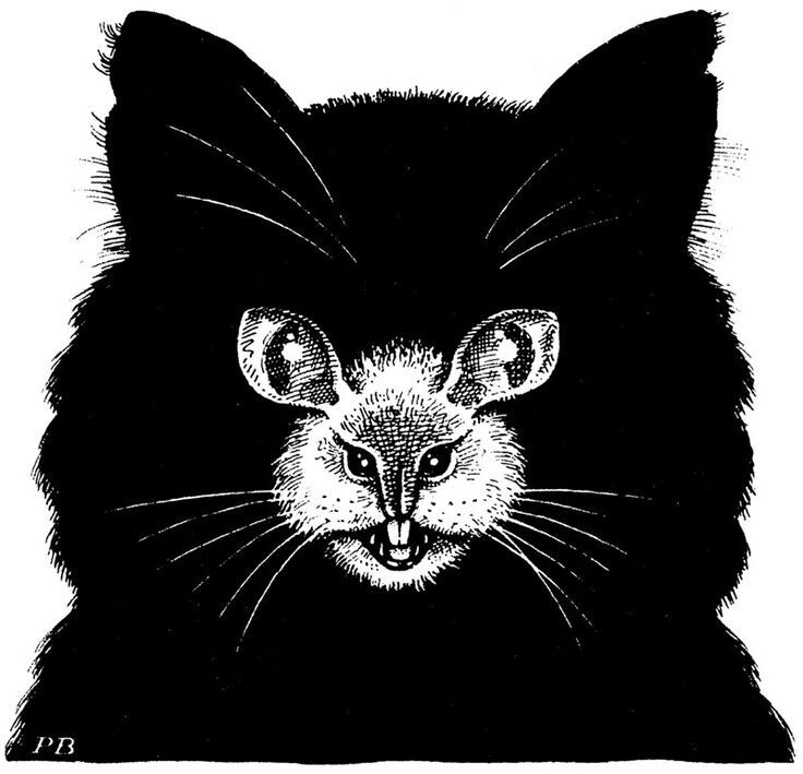 ��� ����������� � ��������� � ���� ����������