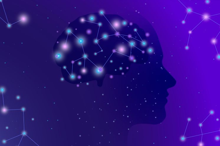 ��� ������ ������� �������� ���� ���������� ����