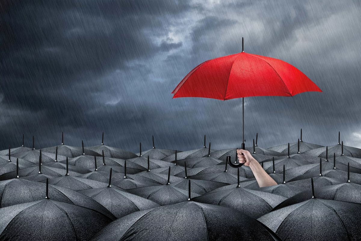 ����������� ��������, ������� ����� ����� ������ �������� ���������