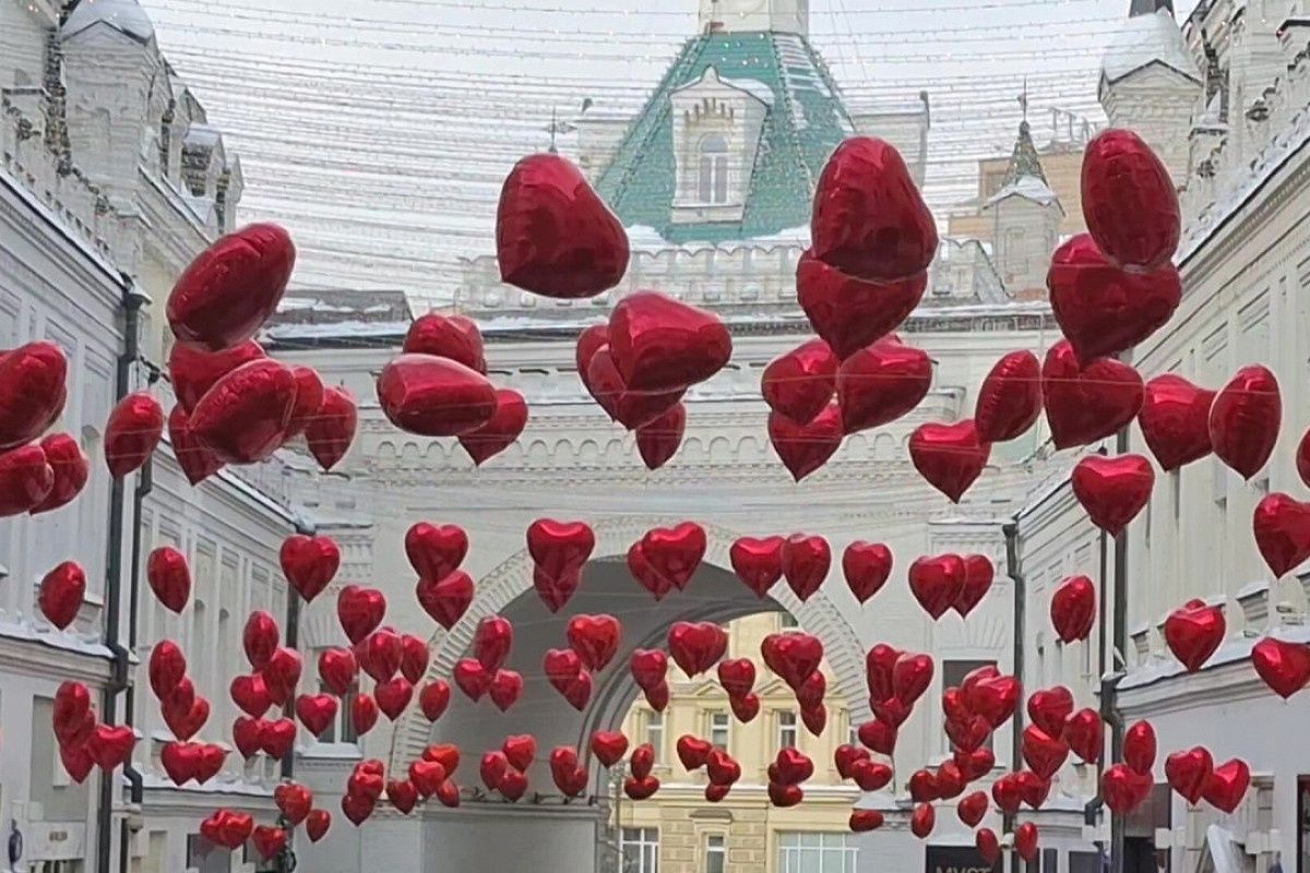 14 �������: �������� �����