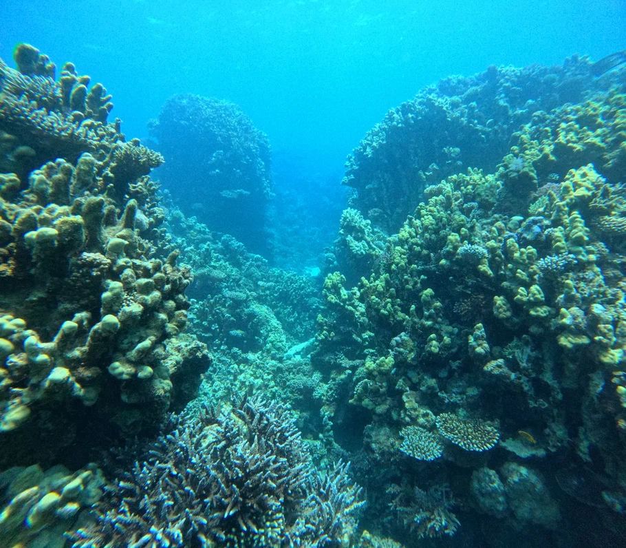 ��� ��� ����� ����� ������ ������ ����