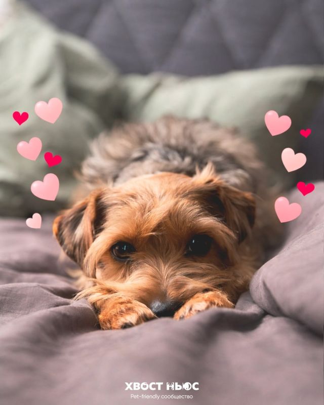 �������� ��������: ������� �� ���� ������ � ����� ������������ �������