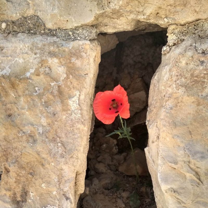 ��� ������������ ������� � ������� �������