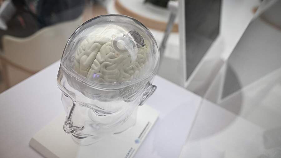 ����� ������������: ��� ���������� ����� ������ �� ������������� ���������