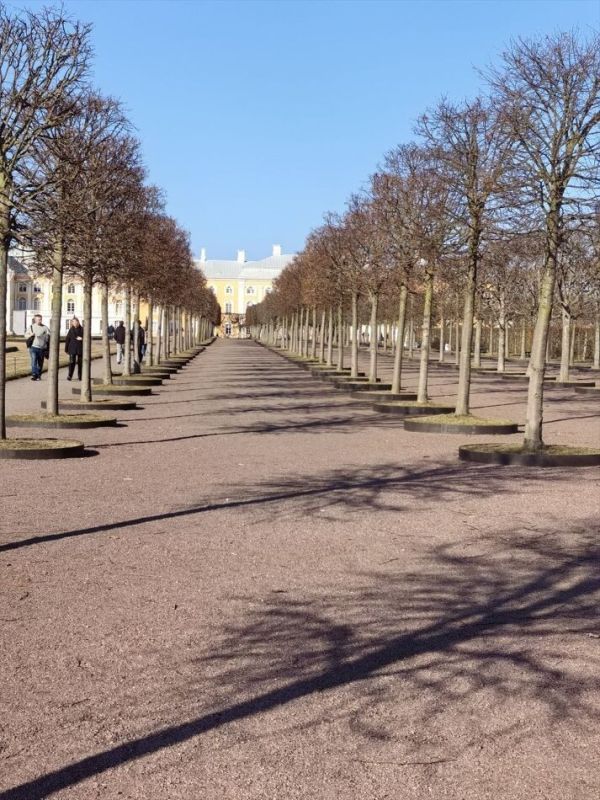 ������ �������� �����������: ��� ������ ������� �� ������