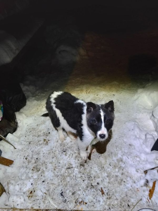 ����� �� ����: ��� ���� �������������� ��������?