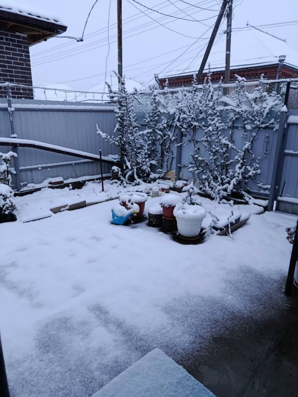 ������: ��� ��� ����������?