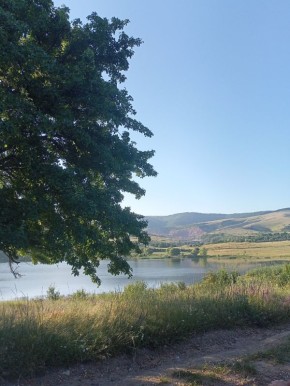 ���������� ����� � �������� ������� 14 �������