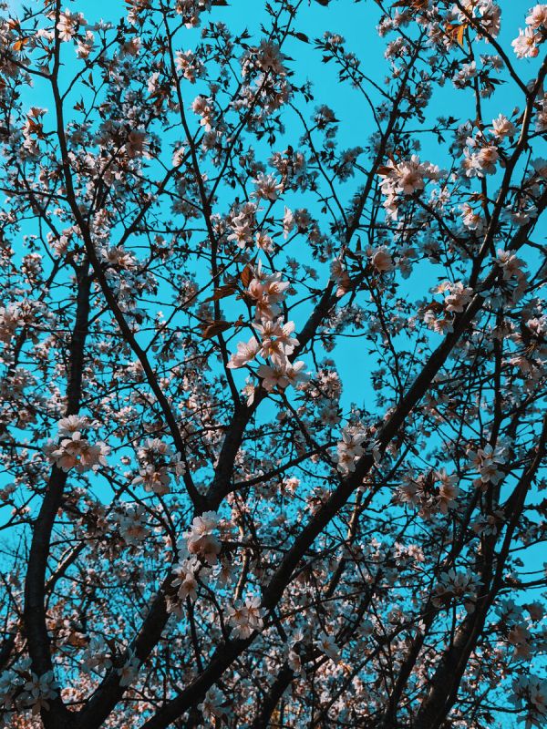 ��� ���������� � �������� ���������: ������ ��� �������������� ��������