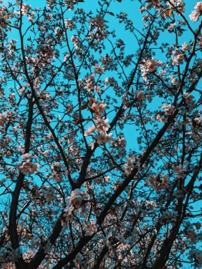 ��� ���������� � �������� ���������: ������ ��� �������������� ��������