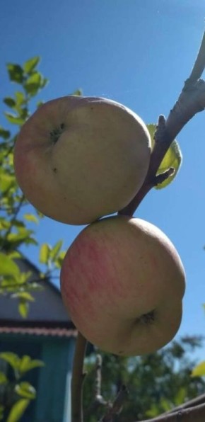 Как принять себя и раскрыть свой внутренний потенциал