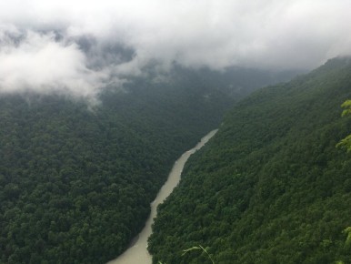 ��������� �������: ��� ����� ����� ���������� ���������� ���� ��������