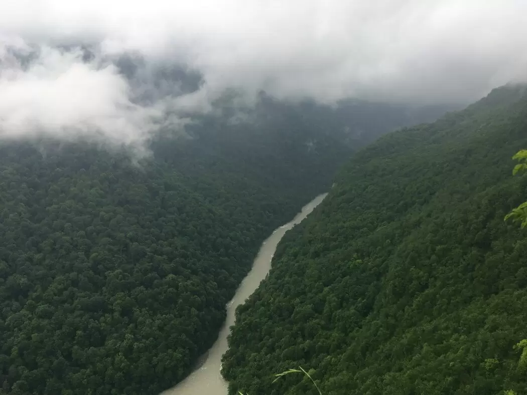 Исследуем природу: как дикая жизнь раскрывает внутренние силы человека