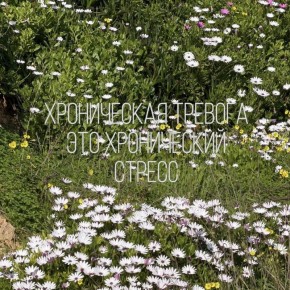 ����������� �����������: ��� ������ ������ �� ��� ���� � ����