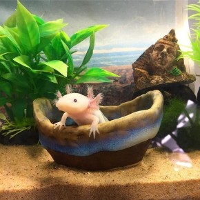 ���������: ���������� ������ ������ � ���� �������