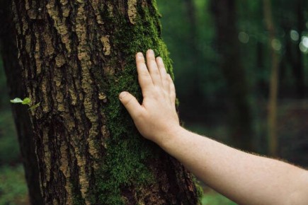 ���� ��������: ��� ������� �� ����� �������� ���