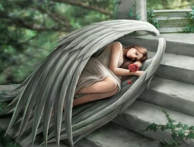 ���� ��� ������ ���������� ������� ����: ����������� ������ �� ����������������