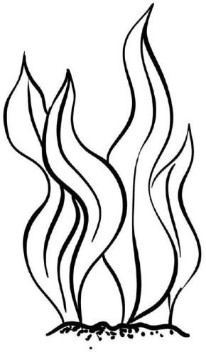 �������� ��� ����� �����