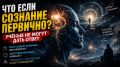 Что если сознание стоит у истоков всего?